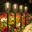 20 Lumens 3000K Warn White Weather Resistant Outdoor Solar Path Lights 2-Pieces