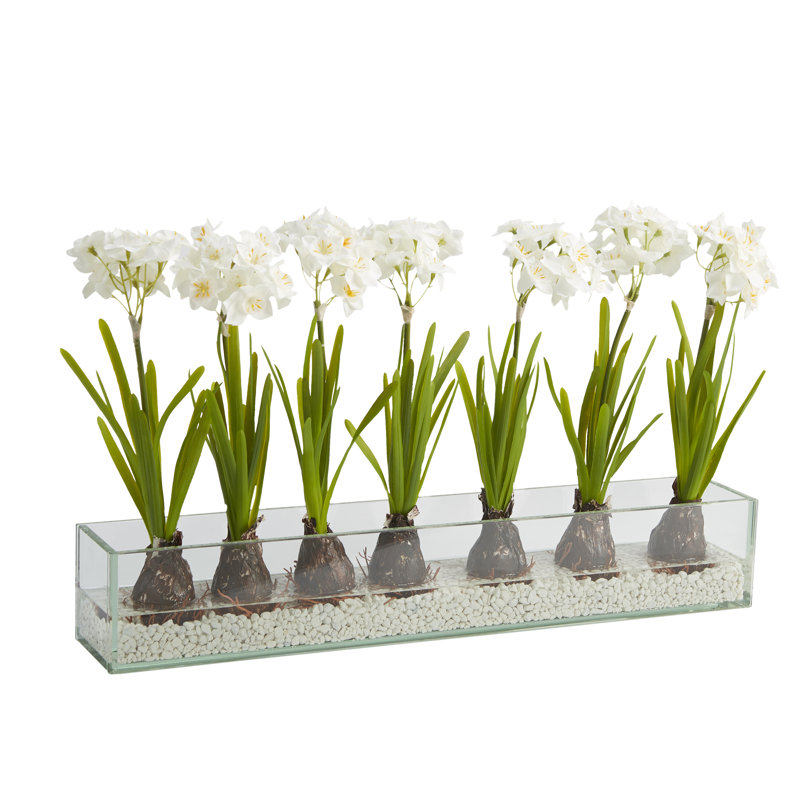 Arrangement in Vase