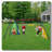 Rinbow Colour Interesting Four Function Swingset With Net Swing And Face To Face Metal Plastic Safe Swing Seat 550Lbs For Outdoor Playground For Age 3+