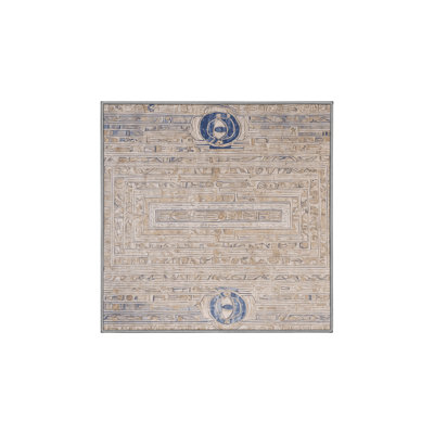 Tapis gris soyeux et moelleux