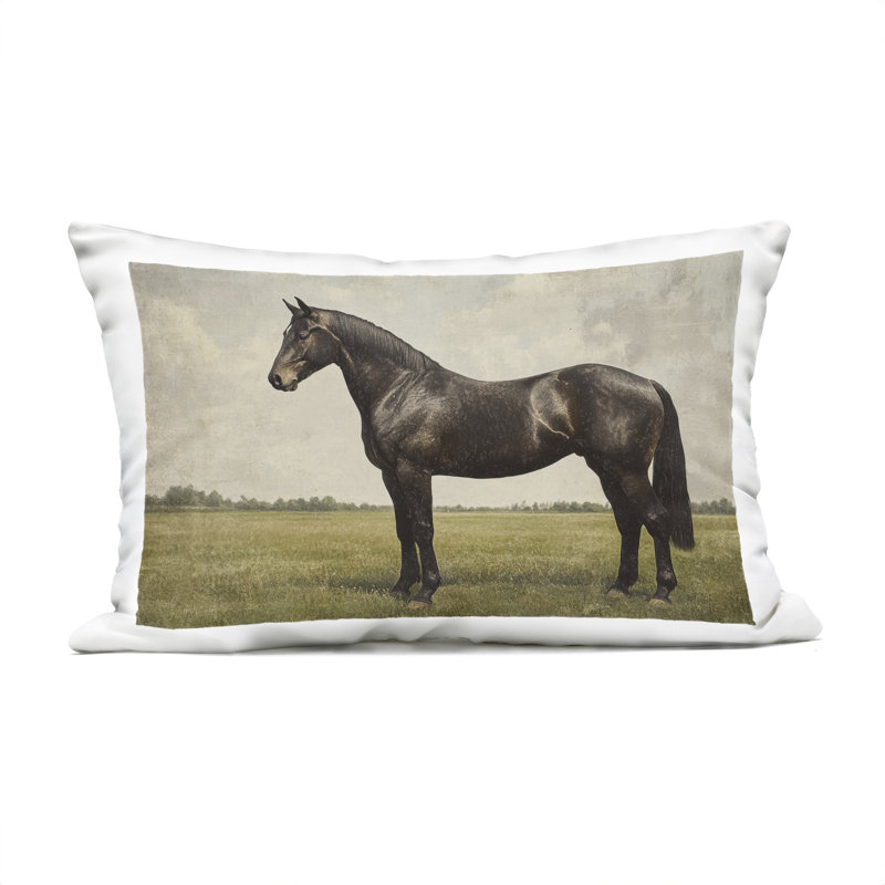 Espresso Horse Portrait Outdoor Printed Pillow design by Petal Prints Design, Rectangle 14"H x 20"W, Black Horse