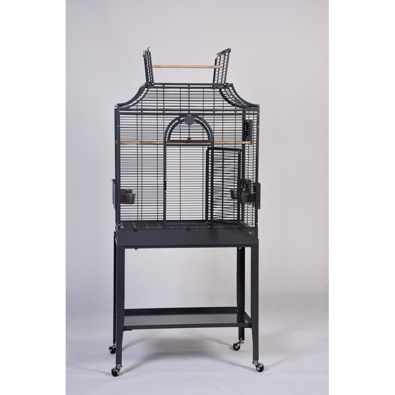 Cage de vol moyenne élégante par HQ, Noir
