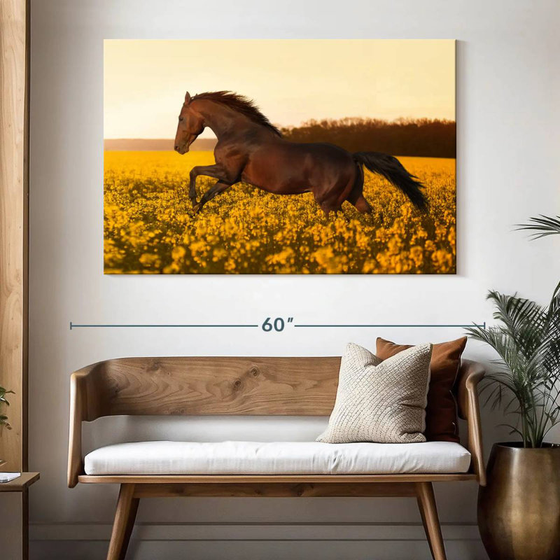 Brampt dans un champ de fleurs, H 34 po x l 51 po