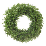 Classic Boxwood Wreath