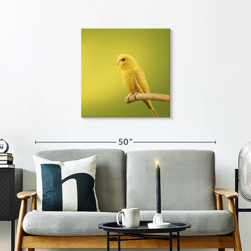 Perruche jaune perchée Brampt, H 24 po x l 24 po