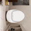 Toilette de salle de bain en céramique en forme d'œuf - blanc brillant, 1,28 chasse simple, accessoire moderne de forme blanche, chasse d'eau douce