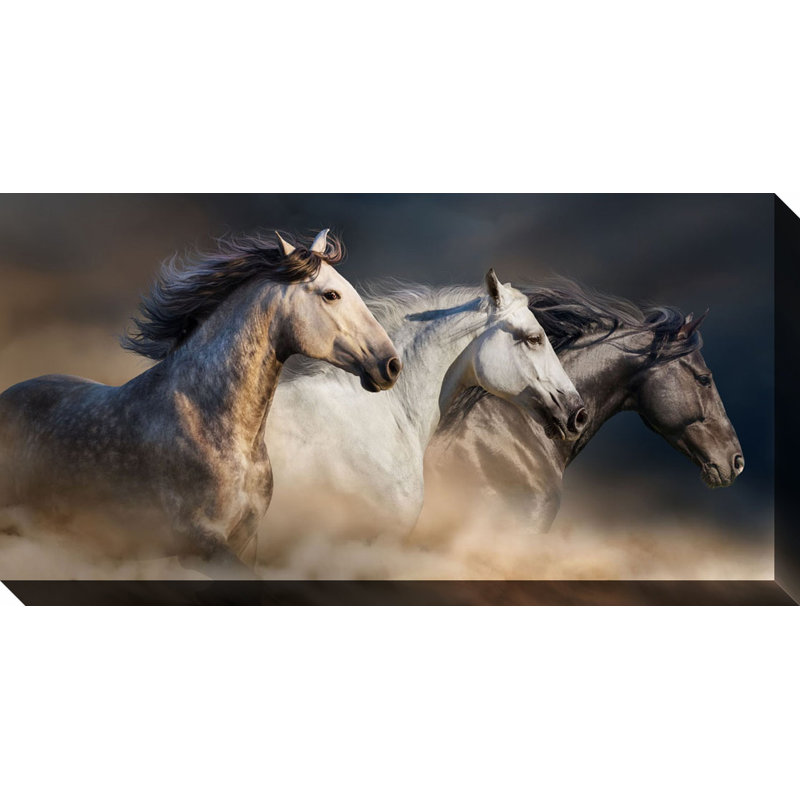Art sur toile "Galop dans la poussière", H 20 po x l 40 po