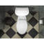 Sentra Quiet-Close Elongated Toilet Seat