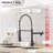 Fapully Pull Down Kitchen Faucet-61611594