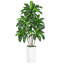 Arbre artificiel Dracaena de 1,5 m, plante Dracaena fragrans à plusieurs têtes avec pot blanc, feuilles réalistes aux tons jaunes, plante d'intérieur facile d'entretien pour la décoration de la maison et du bureau extérieur couvert-129867221