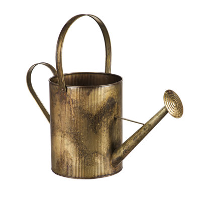 Eletto Metal Watering Can