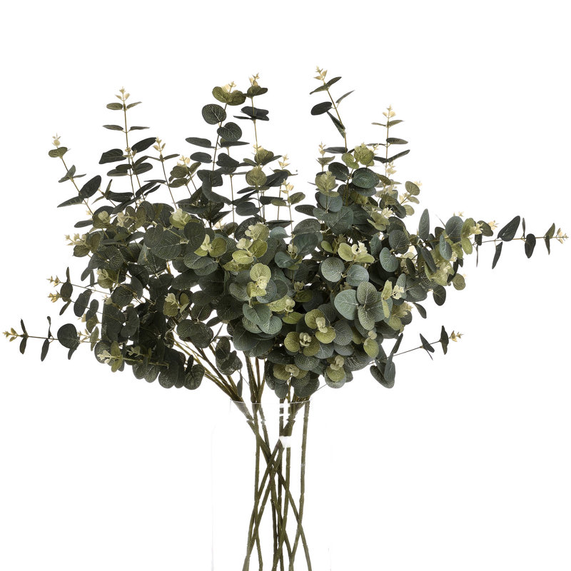 Anastasija Arrangement