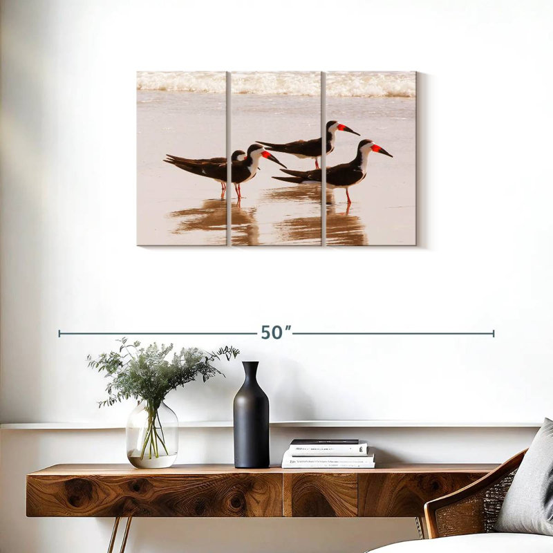 Brampt A Few Black Skimmers I, 20" H x 33" W