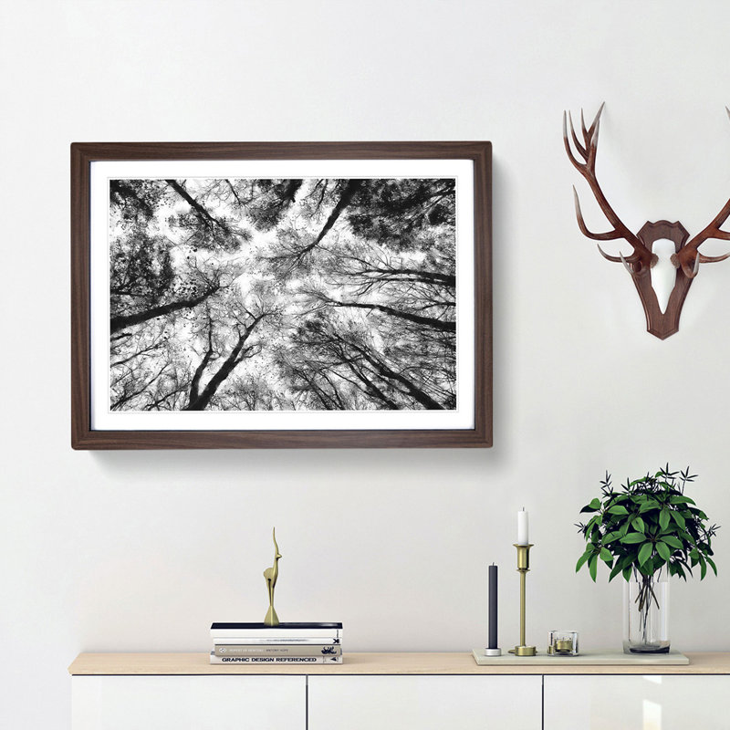 Vaulted Tree Branches - Picture Frame Painting Print, 45cm H x 63cm W x 2cm D, Walnut Framed