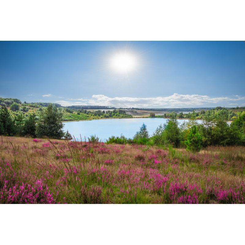 Heather And Lake Landscape - Wrapped Canvas Print, 30cm H x 46cm W 3.8cm D