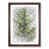 Walnut Framed