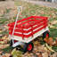 Chariot de chariot rouge en bois avec poignée pliante, chariot tout-terrain robuste pour enfants, pour l'extérieur, le jardin, le camping, la plage et les jeux - chariot utilitaire à tirer classique