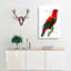 Scarlet Lory by George Shaw - Wrapped Canvas-55330583