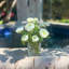 Ranunculus Flowers in Vase