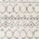 Mott Southwestern Power Loom Ivory/Gray Area Rug