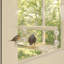 Silkleaf Wood Hanging Tray Bird Feeder