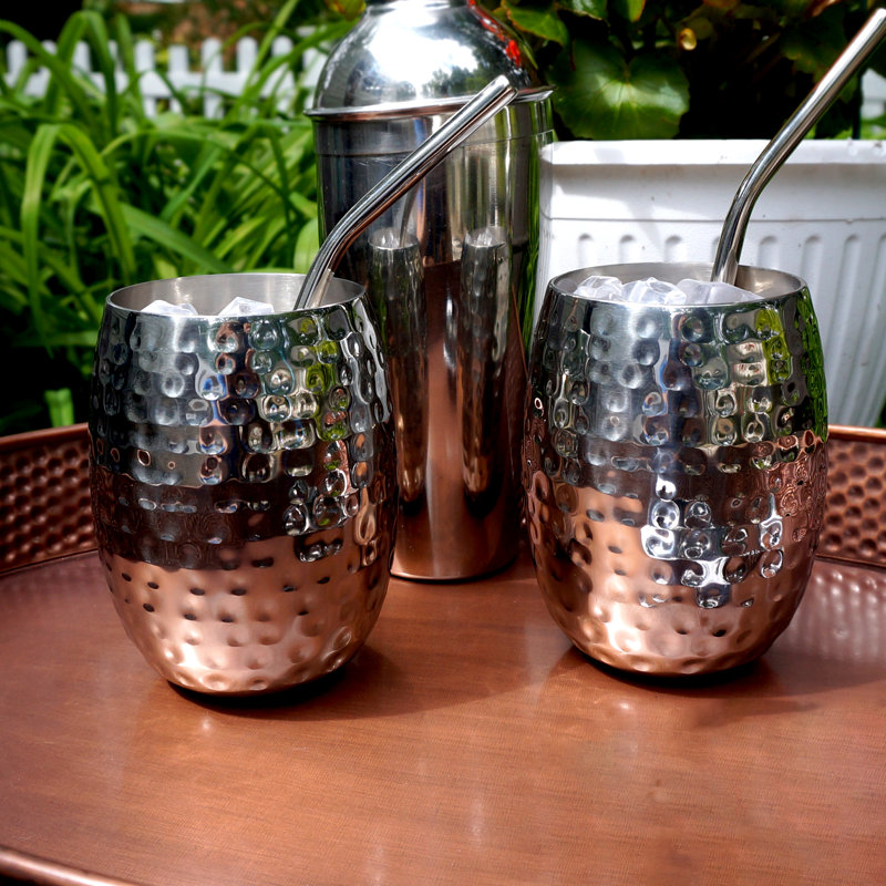 Arreana 18oz. Stainless Steel Drinking Glass Set