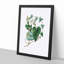 Bindweed Illustration - Single Picture Frame Painting-55466198-55466201