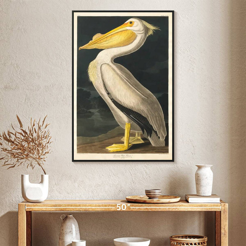 Pélican d'Amérique des oiseaux d'Amérique, 27 po x 40 po, Cadre flottant noir
