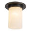 Mineral 8-in Brass Flush Mount-2016278281-2016278282