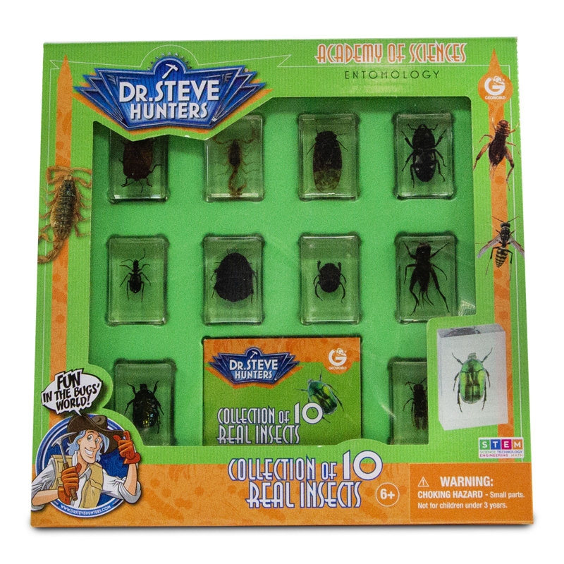 Bug's World - Collection de 10 vrais insectes