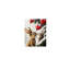 «Vintage Bunny Couple», art mural sur toile sans cadre 24 po x 36 po