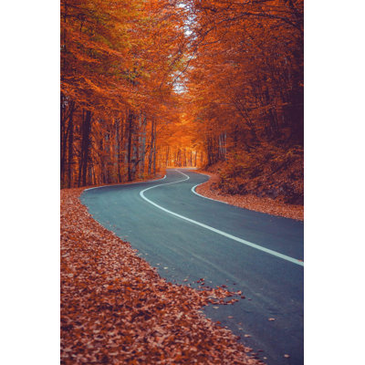 " Winding Road "
