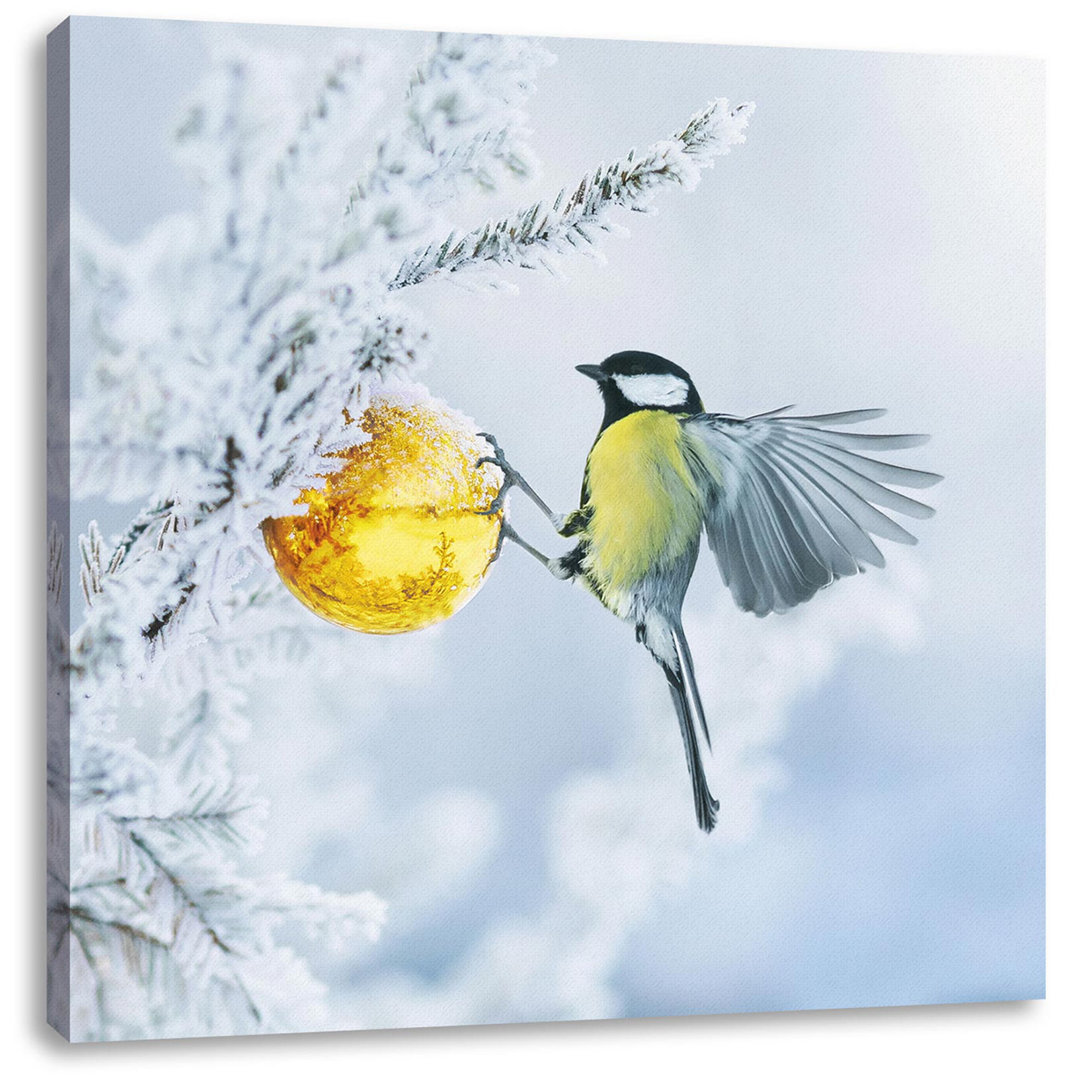 Leinwandbild Kohlmeise beim Golden Globe im Winterwald