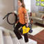 Aspirateur traineau Mighty Mite