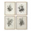 «Vintage Floral Print», impression encadrée, ensemble de 4-749230456-749230455