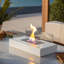 Brittie Bio-Ethanol Outdoor Tabletop Fireplace with Flame Guard-356547659