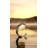 Lampe de table Crest-767087984