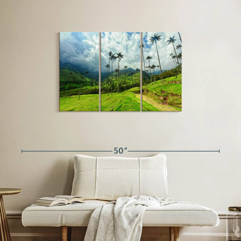 Alvord Cocora Valley, H 24 po x l 38 po