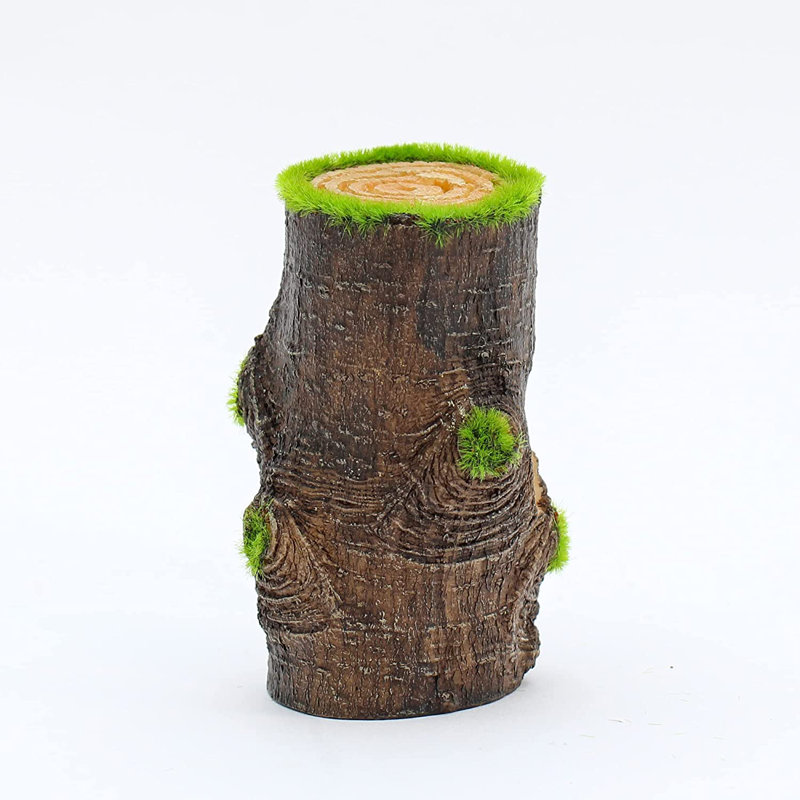 Décoration d'aquarium à base d'arbre Aqua-Flora avec graines Glosso