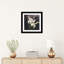 « calla lilies » par reproduction de photo sur toile tendue Olivia Joy-73793894-73793893-73793895