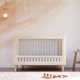 Lolly 3-in-1 Convertible Crib