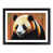 Black Framed selected