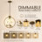 1 - Light Tiffany Style Bird Cage Pendant Light (Bulb Include)