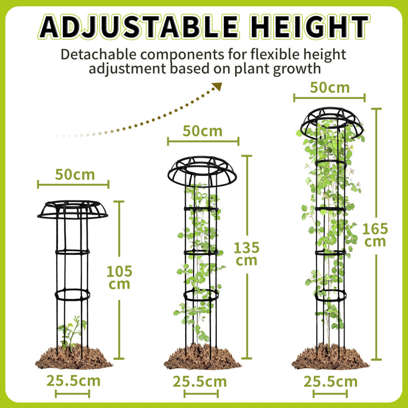 165cm H x 25.5cm W Metal Arched Trellis