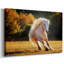 «Horse Motion IV», toile tendue avec châssis-514877208