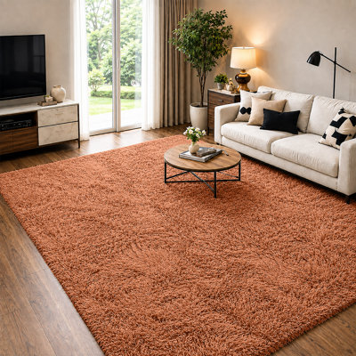 Soft Fluffy Living Room Large Area Rug