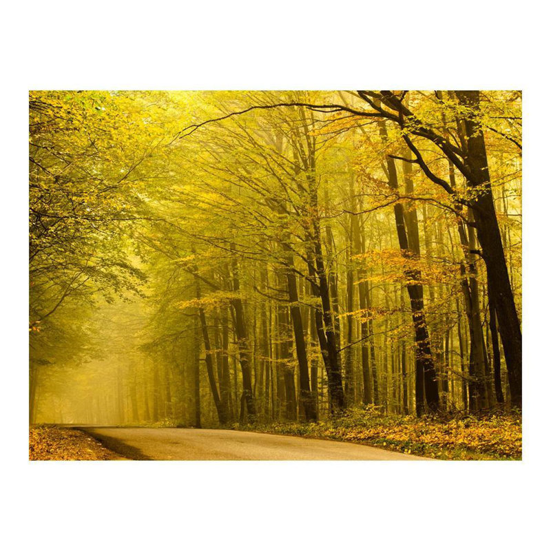 Adhésif mural paysage de forêt d'automne, L 121 po x l 157 po