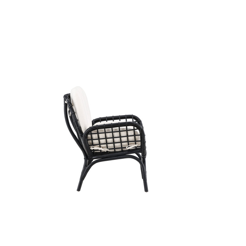 Agassi Wicker Outdoor Lounge Chair