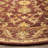 Antiquity Hand Tufted Wool Oriental Rug-14541209