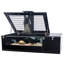 Tortue terrarium